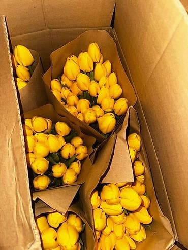 Proton: Өзү алып кетүү lalafo.kg да — 3 Proton: Өзү алып кетүү — 3