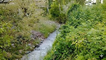 5 соток, Красная книга at lalafo.kg 5 соток, Красная книга