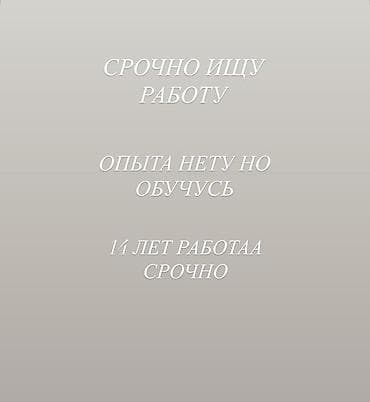 Ищу работу Без опыта at lalafo.kg Ищу работу Без опыта
