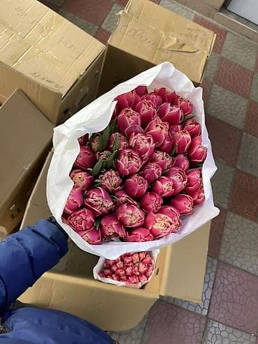 Тюльпаны срезанные — оптом в букетах Описание: - Профессиональная at lalafo.kg — 3 Тюльпаны срезанные — оптом в букетах Описание: - Профессиональная — 3