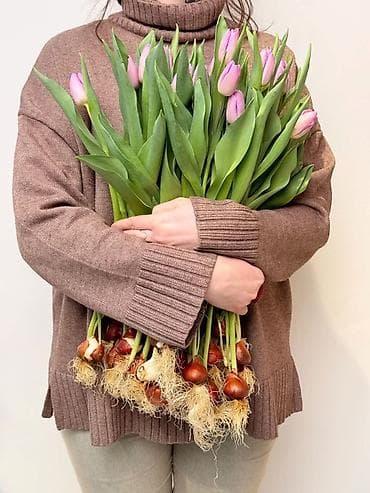 Тюльпан: Самовывоз, Платная доставка at lalafo.kg — 1 Тюльпан: Самовывоз, Платная доставка — 1