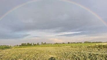 42 соток, Для сельского хозяйства, Тех паспорт at lalafo.kg 42 соток, Для сельского хозяйства, Тех паспорт