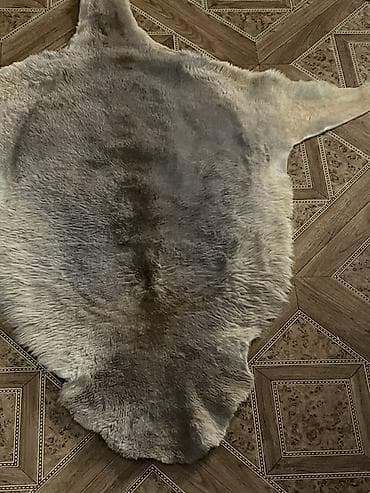 Килемдерди сатып алуу: Килем Тери lalafo.kg да — 2 Килемдерди сатып алуу: Килем Тери — 2