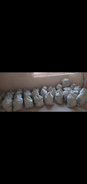 Мрамор жана гранит иштери: Дубалдарды бузуу, Полдорду бузуу, Шыптарды чечүү | Гипсокартон дубалы, Тосмолорду бузуу, Эски шыбакты алуу | Эски тушкагаздардан тазалоо, Эски шыбоону түшүрүү, Актиташты кыруу | Ламинатты демонтаждоо, Паркетти демонтаждоо, Линолеумду демонтаждоо | Шифер чатыр, Металл черепицадан жасалган чатыр, Жумшак чатыр 6 жылдан ашык тажрыйба lalafo.kg да — 4 Мрамор жана гранит иштери: Дубалдарды бузуу, Полдорду бузуу, Шыптарды чечүү | Гипсокартон дубалы, Тосмолорду бузуу, Эски шыбакты алуу | Эски тушкагаздардан тазалоо, Эски шыбоону түшүрүү, Актиташты кыруу | Ламинатты демонтаждоо, Паркетти демонтаждоо, Линолеумду демонтаждоо | Шифер чатыр, Металл черепицадан жасалган чатыр, Жумшак чатыр 6 жылдан ашык тажрыйба — 4