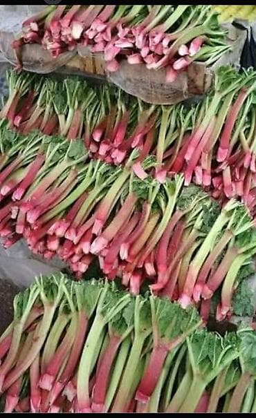 Малина Оптом at lalafo.kg Малина Оптом