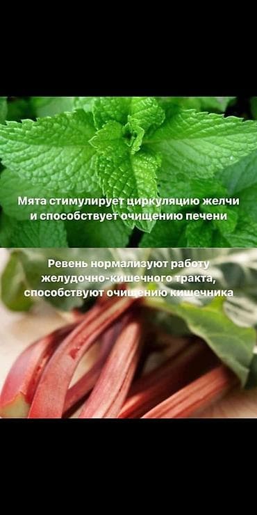 Драйнэффект от компании нл lalafo.kg да — 2 Драйнэффект от компании нл — 2