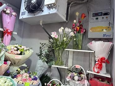 Цветочные букеты и композиции - Большой выбор свежих срезанных at lalafo.kg Цветочные букеты и композиции - Большой выбор свежих срезанных