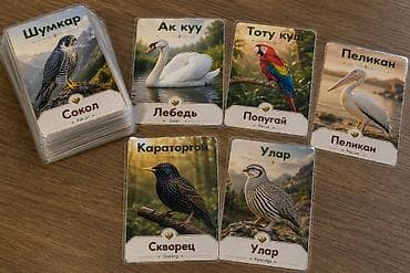 Наборы обучающих карточек с яркими фотографиями и подписями на at lalafo.kg Наборы обучающих карточек с яркими фотографиями и подписями на