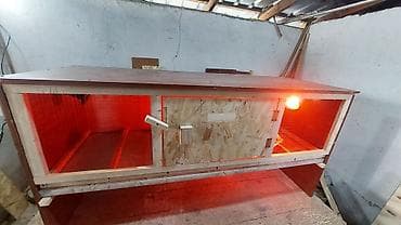 Dongfeng: Брудер/клетка для выращивания цыплят и другой птицы Внимание!!! Прошу at lalafo.kg — 8 Dongfeng: Брудер/клетка для выращивания цыплят и другой птицы Внимание!!! Прошу — 8