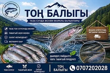 🐟 ТОҢ БАЛЫГЫ 🐟 Тоо булагынын таза суусунда өстүрүлгөн сапаттуу форель! at lalafo.kg 🐟 ТОҢ БАЛЫГЫ 🐟 Тоо булагынын таза суусунда өстүрүлгөн сапаттуу форель!