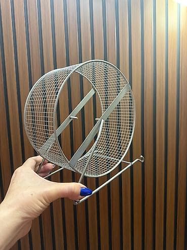 Колесо большое для хомяков, белок, песчанок, мышей. Можно поставить lalafo.kg да Колесо большое для хомяков, белок, песчанок, мышей. Можно поставить