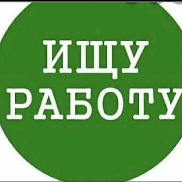 Помощник. Без опыта at lalafo.kg Помощник. Без опыта