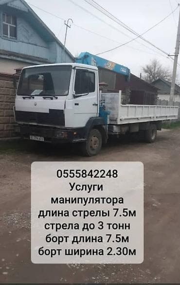 Стрела 8 м, 3000 т, Борт 5000 кг at lalafo.kg Стрела 8 м, 3000 т, Борт 5000 кг