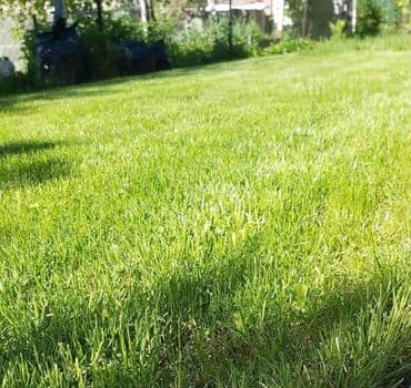 🌿 Газон 🌿 Посев газона 🌿Сеем газон 🌿 Ландшафтный дизайн 🌿 at lalafo.kg 🌿 Газон 🌿 Посев газона 🌿Сеем газон 🌿 Ландшафтный дизайн 🌿