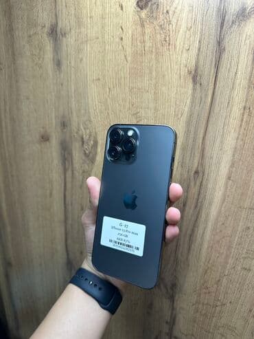 IPhone 13 Pro Max, Б/у, 256 ГБ, Black Titanium, Защитное стекло, Чехол, В рассрочку, 87 % at lalafo.kg IPhone 13 Pro Max, Б/у, 256 ГБ, Black Titanium, Защитное стекло, Чехол, В рассрочку, 87 %