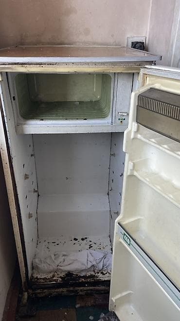 Холодильник Saratov, Б/у, Однокамерный, Less frost, 80 * 120 * 50 at lalafo.kg Холодильник Saratov, Б/у, Однокамерный, Less frost, 80 * 120 * 50