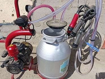 Доильный аппарат с алюминиевой флягой Комплектация: - Вакуумный at lalafo.kg Доильный аппарат с алюминиевой флягой Комплектация: - Вакуумный