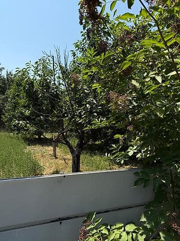 Продаётся дом с большим участком в Сокулукском районе, в селе at lalafo.kg Продаётся дом с большим участком в Сокулукском районе, в селе