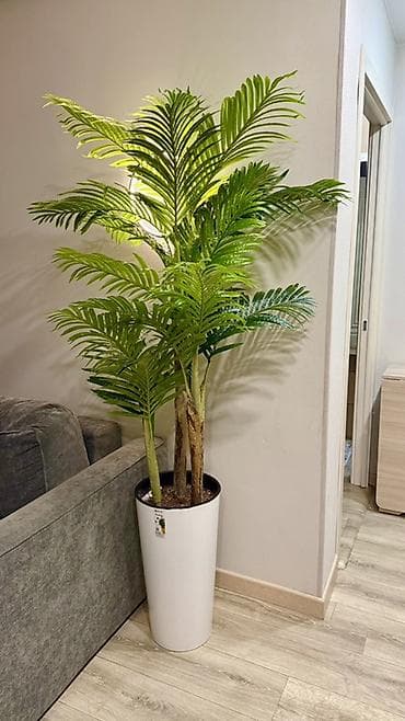 Высокая декоративная пальма в напольном кашпо. - Реалистичная at lalafo.kg Высокая декоративная пальма в напольном кашпо. - Реалистичная