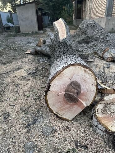 Дрова at lalafo.kg Дрова