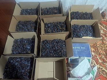 Сушёная слива (чернослив без косточки) - Натуральная сушка из спелых at lalafo.kg Сушёная слива (чернослив без косточки) - Натуральная сушка из спелых