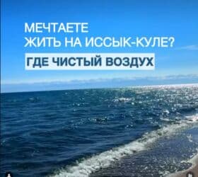 2 комнаты, 64 м², 1 этаж, ПСО (под самоотделку) at lalafo.kg 2 комнаты, 64 м², 1 этаж, ПСО (под самоотделку)