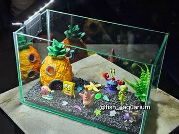 Новый аквариум. Объём 5 л. Хороший подарок детишкам. В стиле Губка at lalafo.kg Новый аквариум. Объём 5 л. Хороший подарок детишкам. В стиле Губка
