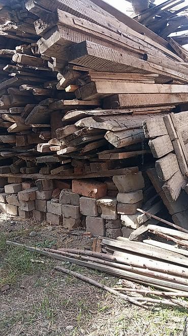 Хвоя at lalafo.kg Хвоя