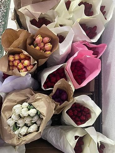 LED гирляндалар: Тюльпан гулдору оптом 95сом штук Штучно 130 сом. Оптом от 150шт - lalafo.kg да — 3 LED гирляндалар: Тюльпан гулдору оптом 95сом штук Штучно 130 сом. Оптом от 150шт - — 3