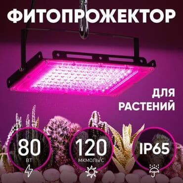 Фитопрожектор для растений светодиодный ЭРА FITO-80W-RB-LED-Y at lalafo.kg Фитопрожектор для растений светодиодный ЭРА FITO-80W-RB-LED-Y