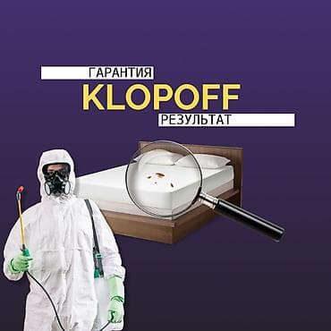 Дезинфекция, дезинсекция, | Клопы, | Квартиры at lalafo.kg Дезинфекция, дезинсекция, | Клопы, | Квартиры