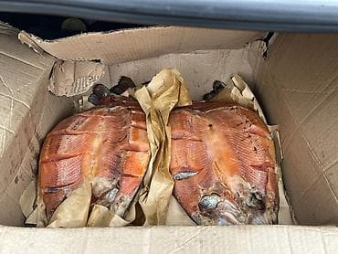 Форель копченная форель Среднее-мало соленная Выращена на скважине at lalafo.kg Форель копченная форель Среднее-мало соленная Выращена на скважине