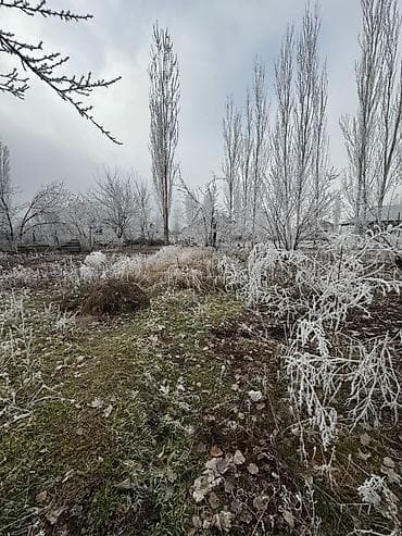 5 соток, Для строительства, Красная книга, Договор купли-продажи at lalafo.kg 5 соток, Для строительства, Красная книга, Договор купли-продажи