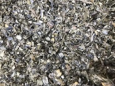 Силос кукурузный, дроблёный Описание: - Кормовая смесь на основе at lalafo.kg Силос кукурузный, дроблёный Описание: - Кормовая смесь на основе