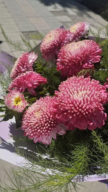 2 комнаты, Собственник, С подселением, С мебелью полностью at lalafo.kg 2 комнаты, Собственник, С подселением, С мебелью полностью