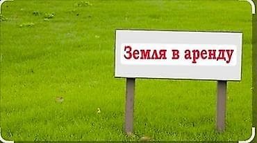 8 соток Бизнес үчүн lalafo.kg да 8 соток Бизнес үчүн