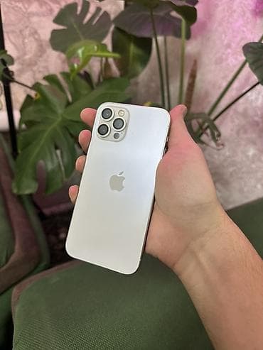 IPhone 12 Pro, 256 ГБ, Белый at lalafo.kg IPhone 12 Pro, 256 ГБ, Белый