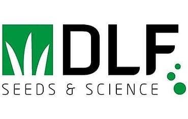 Продаю СЕМЕНА ГАЗОНА (производство Дания, DLF)🇩🇰🇰🇬 Следующие виды at lalafo.kg — 4 Продаю СЕМЕНА ГАЗОНА (производство Дания, DLF)🇩🇰🇰🇬 Следующие виды — 4