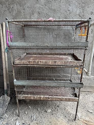 На продажу клетка для перепел at lalafo.kg На продажу клетка для перепел