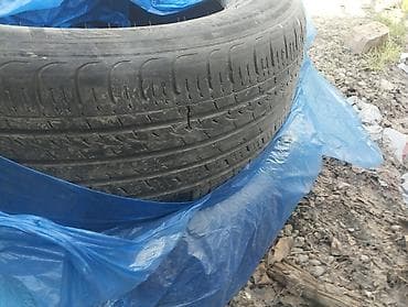 225.60.16 пара at lalafo.kg 225.60.16 пара