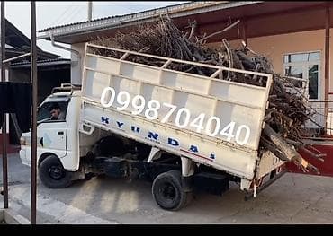 Портер такси Портер такси Портер такси Портер такси Портер такси at lalafo.kg Портер такси Портер такси Портер такси Портер такси Портер такси