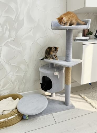 Когтеточка-игровой комплекс для кошки Состояние как новый - at lalafo.kg Когтеточка-игровой комплекс для кошки Состояние как новый -