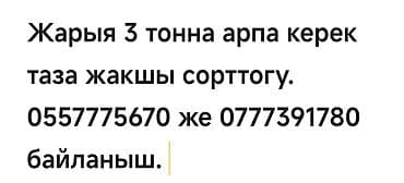 Требуется ячмень — 3 тонны. Нужен чистый, хорошего сорта at lalafo.kg Требуется ячмень — 3 тонны. Нужен чистый, хорошего сорта