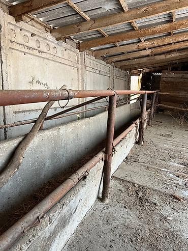 115 соток, Для бизнеса, Красная книга, Тех паспорт, Договор купли-продажи at lalafo.kg 115 соток, Для бизнеса, Красная книга, Тех паспорт, Договор купли-продажи