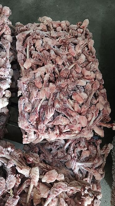 Күрп эти: Замороженные куриные обрезки/кости (механически раздробленные блоки) lalafo.kg да — 1 Күрп эти: Замороженные куриные обрезки/кости (механически раздробленные блоки) — 1