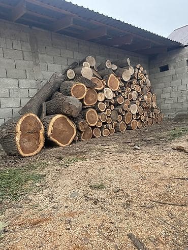 Дрова at lalafo.kg Дрова