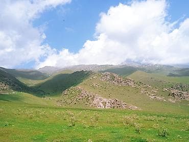 Требуется девушка менеджер от 19 до 25 лет. Ответственная, грамотная at lalafo.kg Требуется девушка менеджер от 19 до 25 лет. Ответственная, грамотная