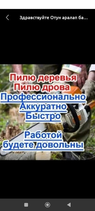 Услуги распила деревьев и дров бензопилой. - Пилю деревья и дрова. - at lalafo.kg Услуги распила деревьев и дров бензопилой. - Пилю деревья и дрова. -
