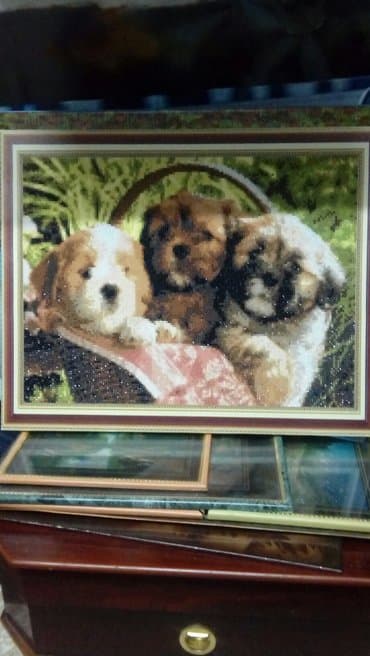 Продам картину алмазная мозайка 50×40р цена 850сом отличный подарок at lalafo.kg Продам картину алмазная мозайка 50×40р цена 850сом отличный подарок