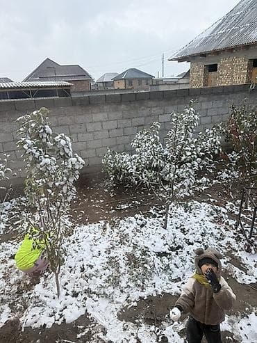 264 соток, Для строительства, Договор дарения at lalafo.kg 264 соток, Для строительства, Договор дарения